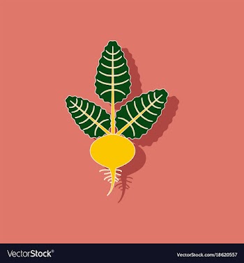Paper sticker on background of beta vector image