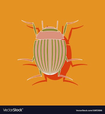 Paper sticker on background of Colorado beetle vector image