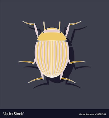Paper sticker on background of colorado beetle vector image