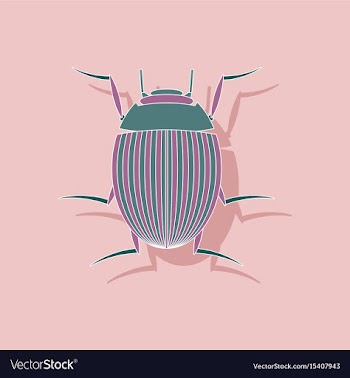 Paper sticker on background of colorado beetle vector image