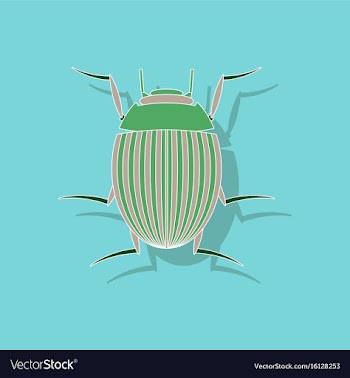 Paper sticker on background of colorado beetle vector image