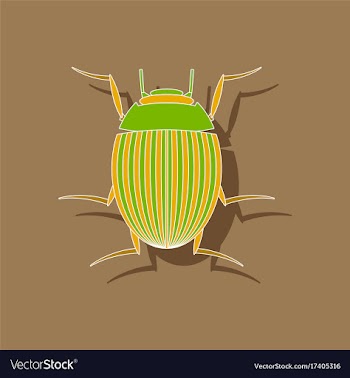 Paper sticker on background of colorado beetle vector image