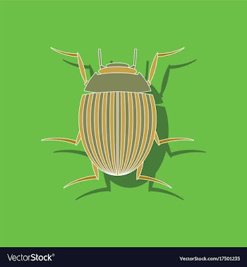 Paper sticker on background of colorado beetle vector image