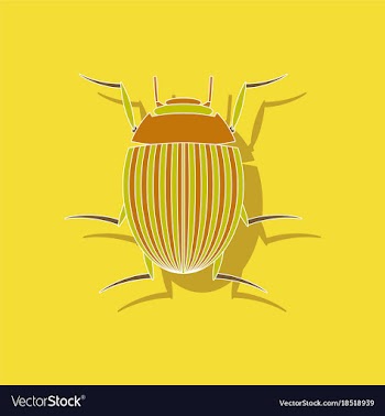 Paper sticker on background of colorado beetle vector image
