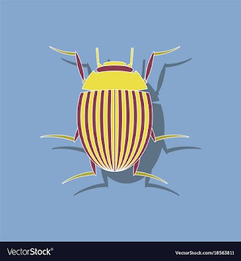 Paper sticker on background of colorado beetle vector image