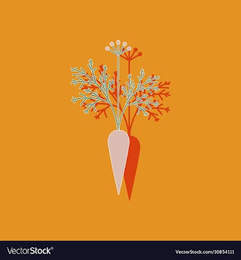 Paper sticker on background of daucus carota vector image