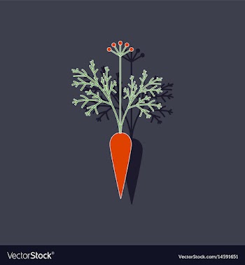 Paper sticker on background of daucus carota vector image