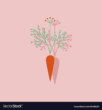 Paper sticker on background of daucus carota vector image