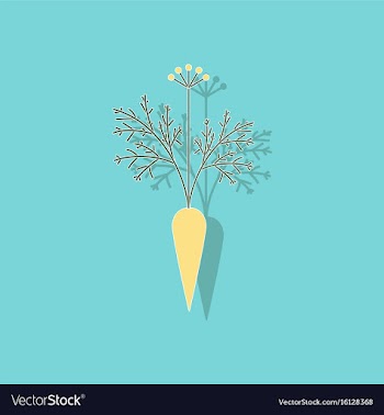 Paper sticker on background of daucus carota vector image
