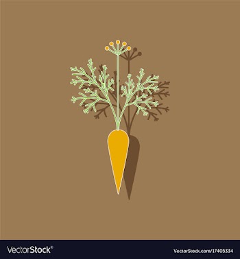 Paper sticker on background of daucus carota vector image