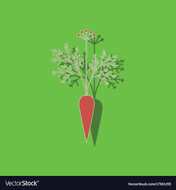 Paper sticker on background of daucus carota vector image