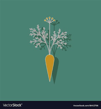 Paper sticker on background of daucus carota vector image