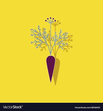 Paper sticker on background of daucus carota vector image