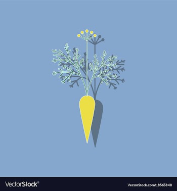 Paper sticker on background of daucus carota vector image