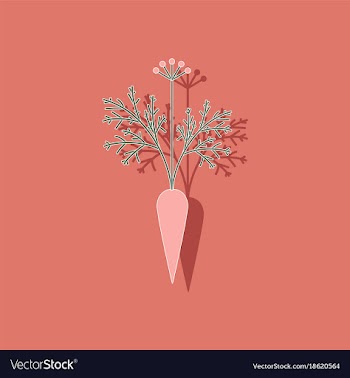 Paper sticker on background of daucus carota vector image
