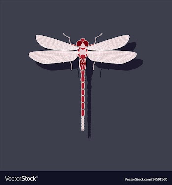 Paper sticker on background of dragonfly vector image