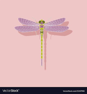Paper sticker on background of dragonfly vector image