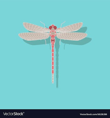 Paper sticker on background of dragonfly vector image