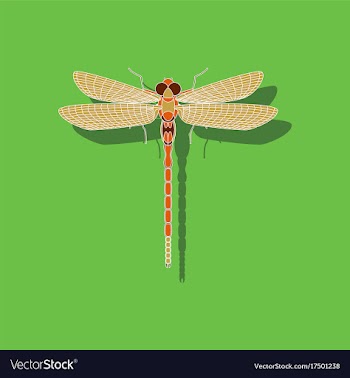 Paper sticker on background of dragonfly vector image