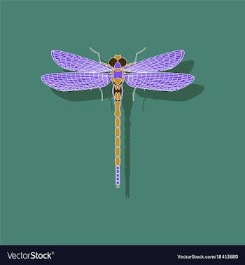 Paper sticker on background of dragonfly vector image