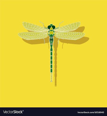 Paper sticker on background of dragonfly vector image