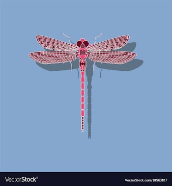 Paper sticker on background of dragonfly vector image