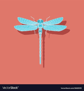 Paper sticker on background of dragonfly vector image