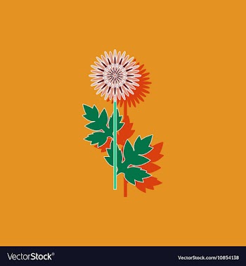 Paper sticker on background of flower aster vector image