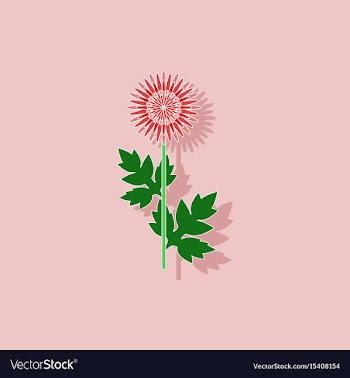 Paper sticker on background of flower aster vector image
