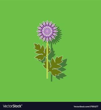 Paper sticker on background of flower aster vector image