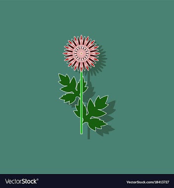 Paper sticker on background of flower aster vector image