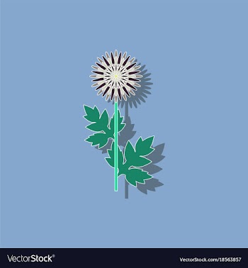 Paper sticker on background of flower aster vector image
