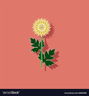 Paper sticker on background of flower aster vector image