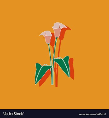 Paper sticker on background of flower calla vector image