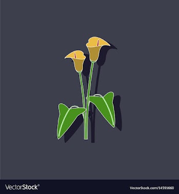 Paper sticker on background of flower calla vector image