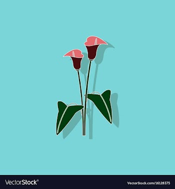 Paper sticker on background of flower calla vector image