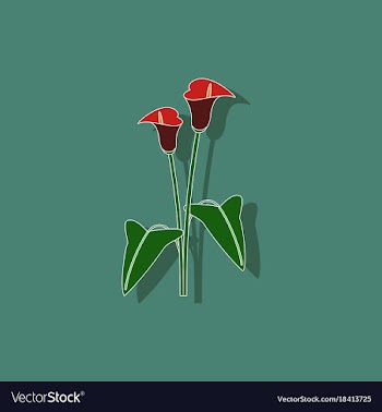 Paper sticker on background of flower calla vector image