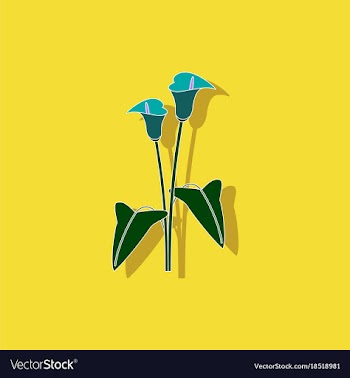 Paper sticker on background of flower calla vector image