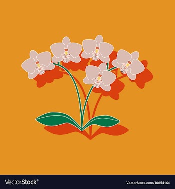 Paper sticker on background of flower orhidaceae vector image