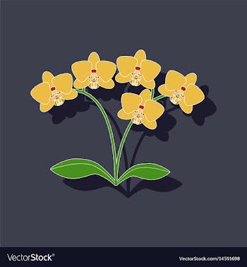 Paper sticker on background of flower orhidaceae vector image
