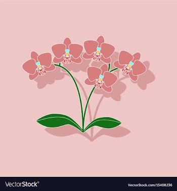 Paper sticker on background of flower orhidaceae vector image