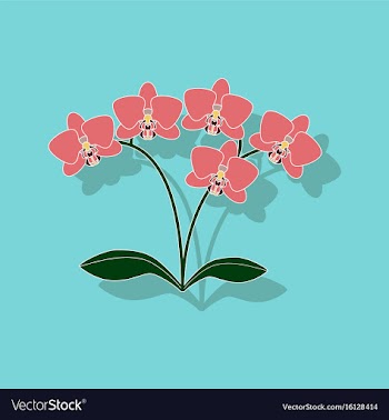 Paper sticker on background of flower orhidaceae vector image