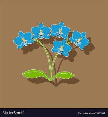 Paper sticker on background of flower orhidaceae vector image