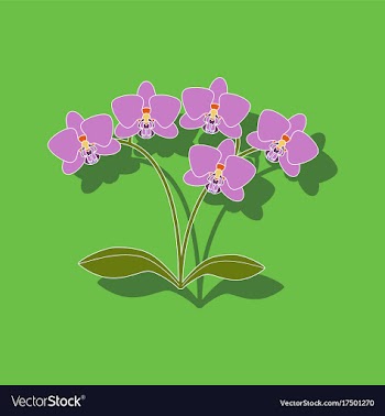Paper sticker on background of flower orhidaceae vector image
