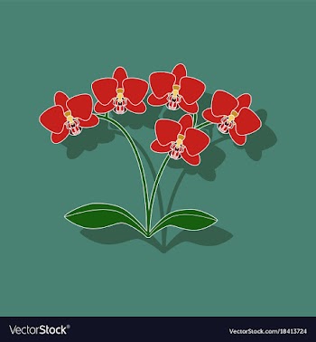 Paper sticker on background of flower orhidaceae vector image