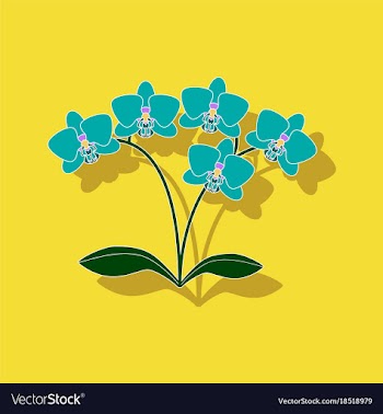 Paper sticker on background of flower orhidaceae vector image