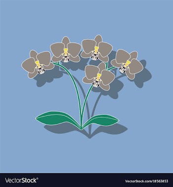 Paper sticker on background of flower orhidaceae vector image