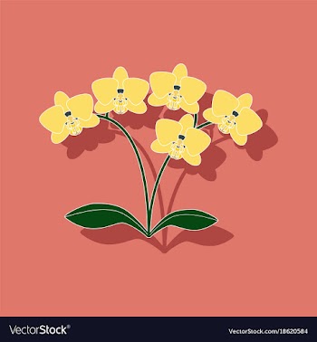 Paper sticker on background of flower orhidaceae vector image