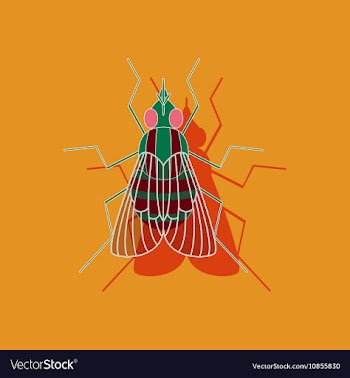 Paper sticker on background of fly vector image