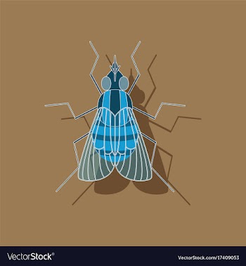 Paper sticker on background of fly vector image